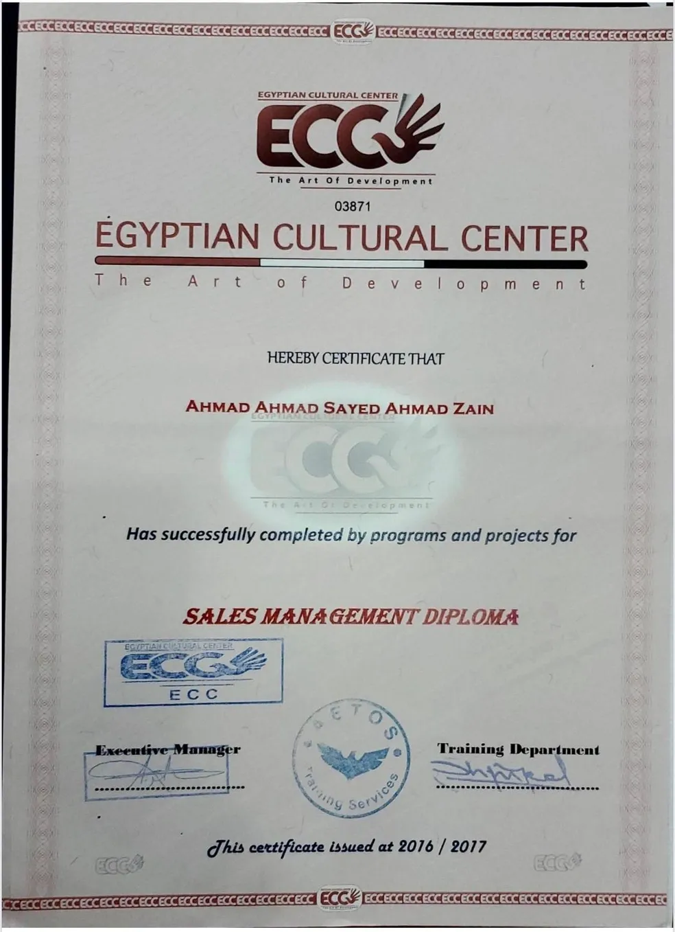 Professional Certification 19